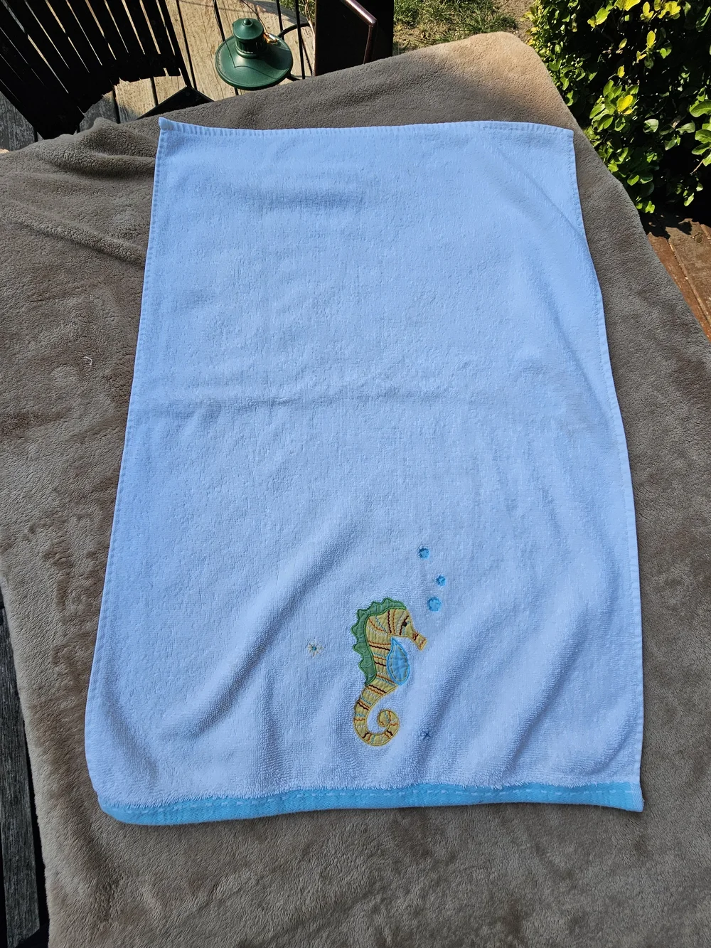 Pottery Barn Kids Seahorse Hand Towel